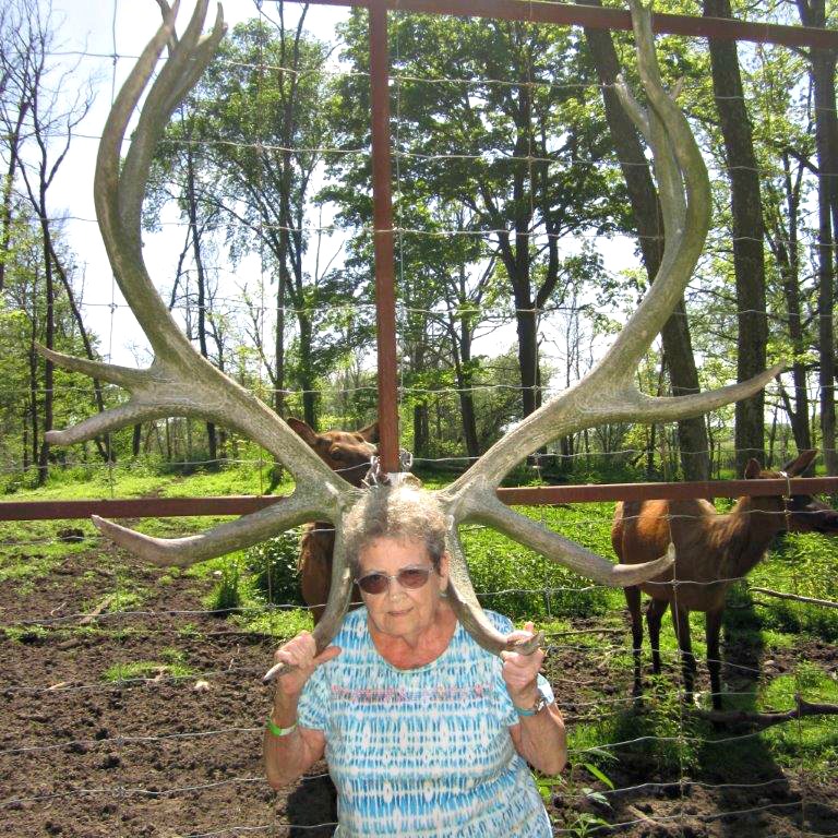 Senior posing with elk antlers