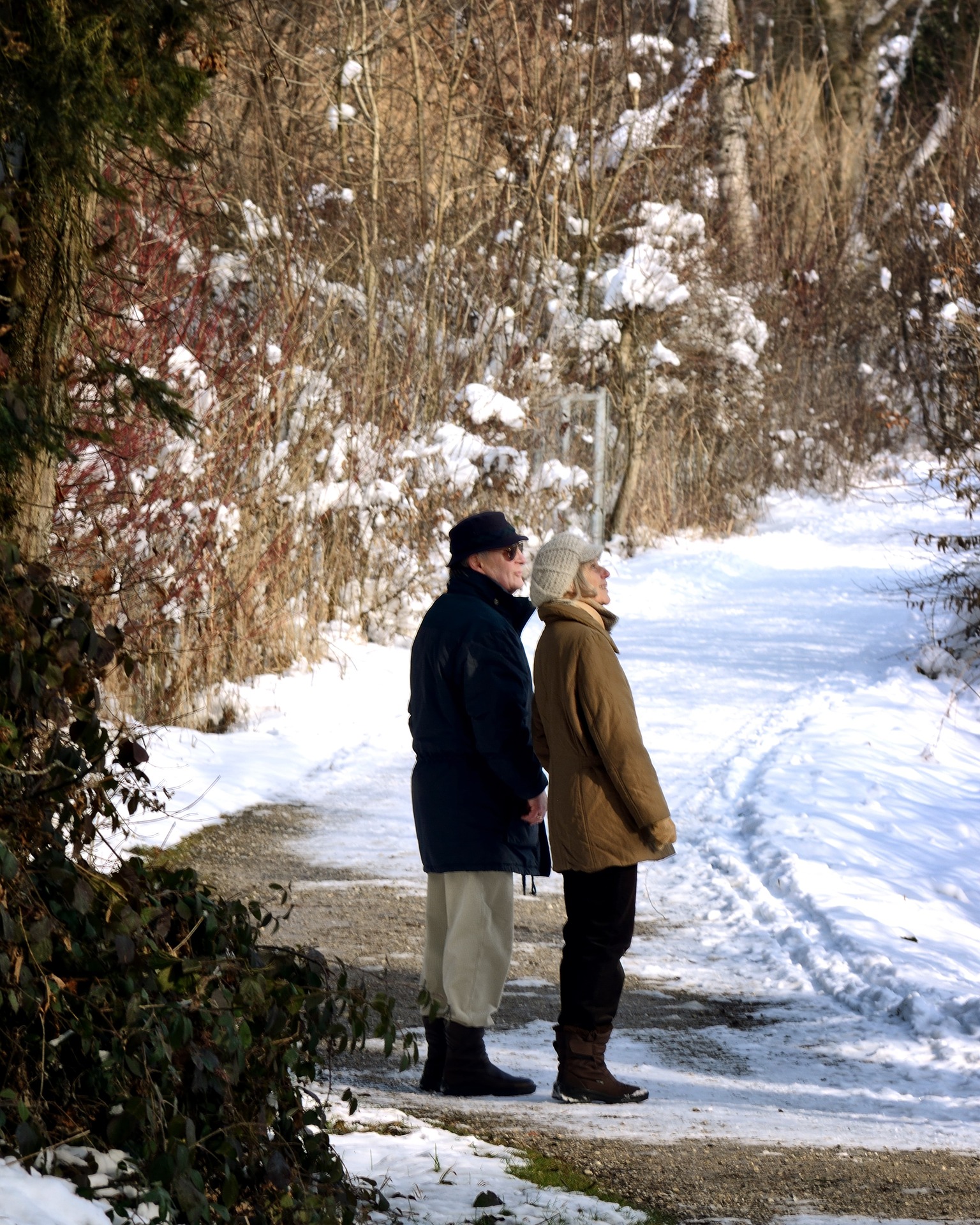 4 Ways Cold Weather Can Affect Our Bodies Three Pillars Senior Living Communities