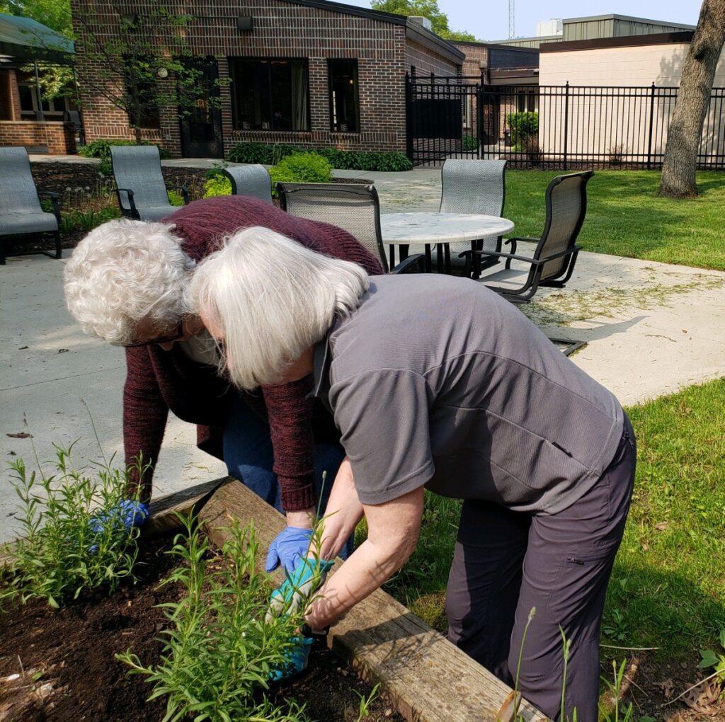 senior women gardening together