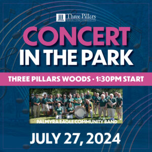 Three Pillars Concert In The Park PE band